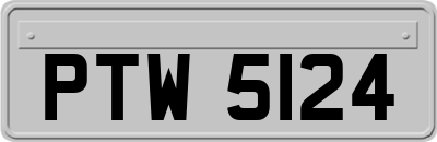 PTW5124