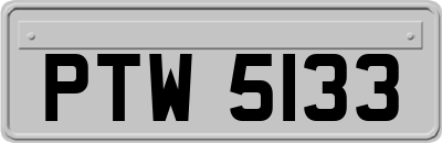 PTW5133