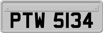 PTW5134