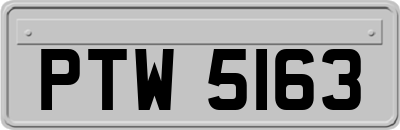 PTW5163