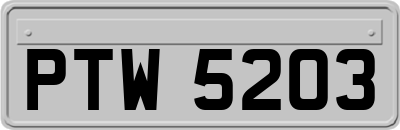 PTW5203