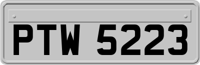 PTW5223