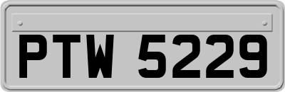 PTW5229