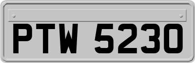 PTW5230