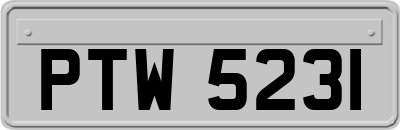 PTW5231