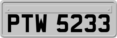 PTW5233