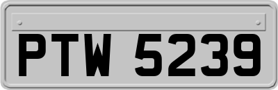 PTW5239