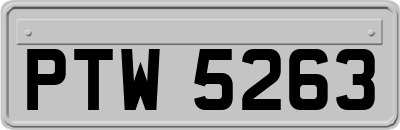 PTW5263