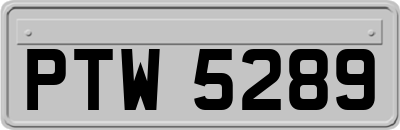 PTW5289