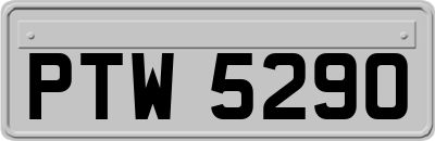 PTW5290