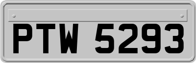 PTW5293