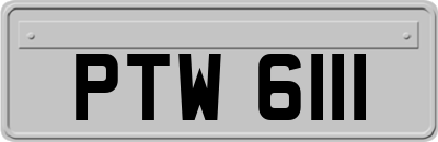PTW6111