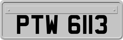 PTW6113