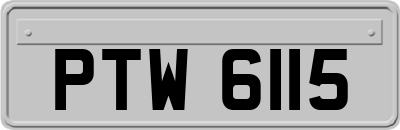 PTW6115