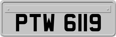PTW6119