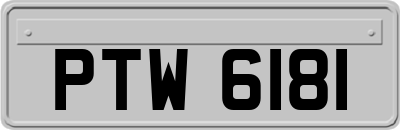 PTW6181