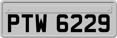 PTW6229