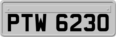 PTW6230