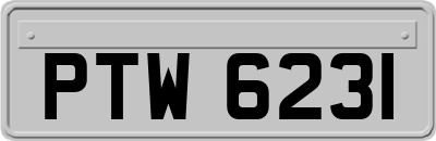 PTW6231