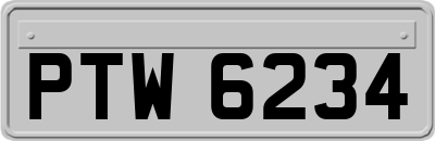 PTW6234