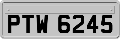 PTW6245