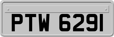 PTW6291