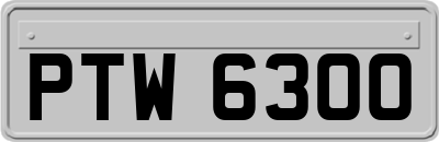 PTW6300