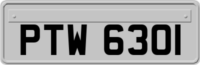 PTW6301