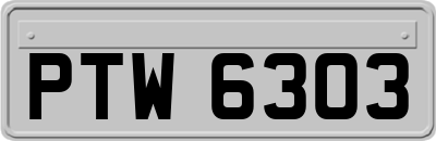 PTW6303