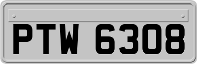 PTW6308