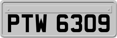 PTW6309