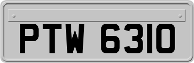 PTW6310