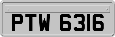 PTW6316