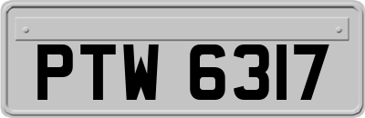 PTW6317