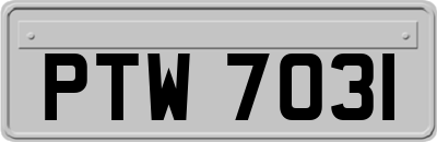 PTW7031