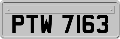 PTW7163