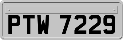 PTW7229