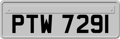 PTW7291