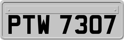 PTW7307