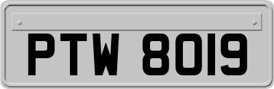 PTW8019