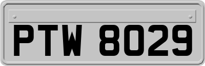 PTW8029