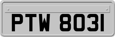 PTW8031