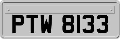 PTW8133