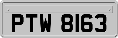 PTW8163