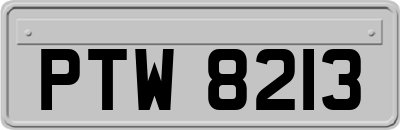 PTW8213