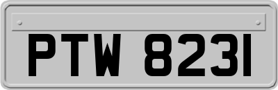 PTW8231