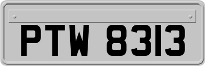 PTW8313