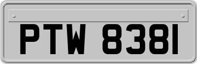 PTW8381