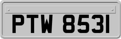 PTW8531