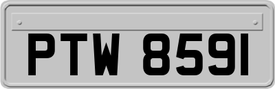 PTW8591